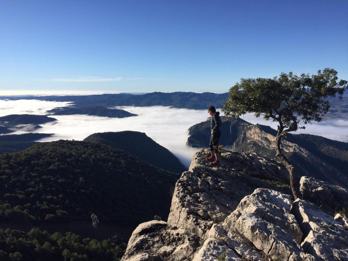 Apartamento Cinca Pirineo En Aínsa Exteriér fotografie