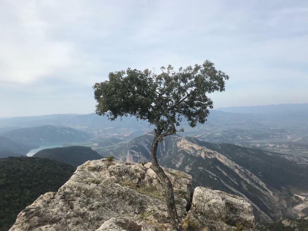 Apartamento Cinca Pirineo En Aínsa Exteriér fotografie